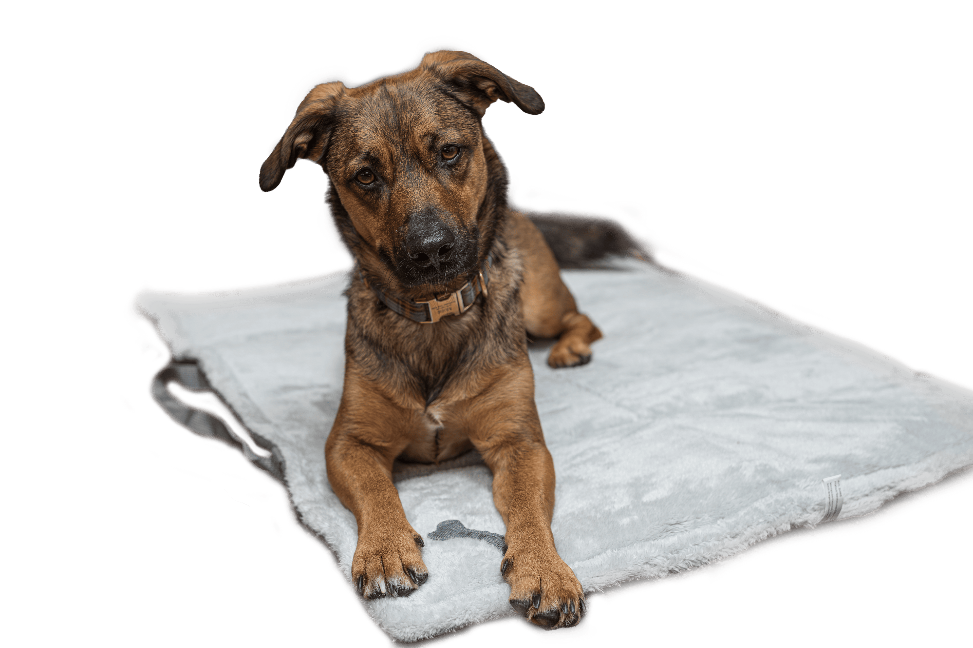 Hotel- und Restaurantdecke Königshappen, grau / weiß